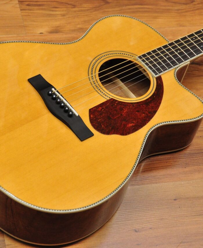 Fender Paramount PM-3CE Triple-0 Standard with case Natural