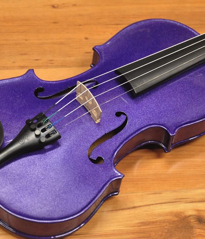 Stentor Harlequin 4/4 Violin Purple Flake