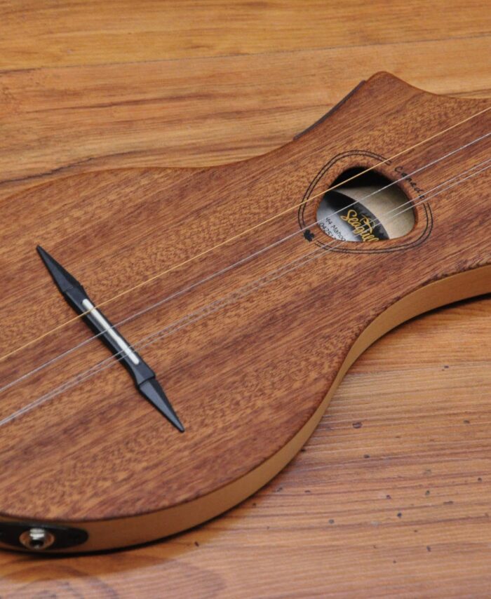 Seagull M4 EQ - Mahogany