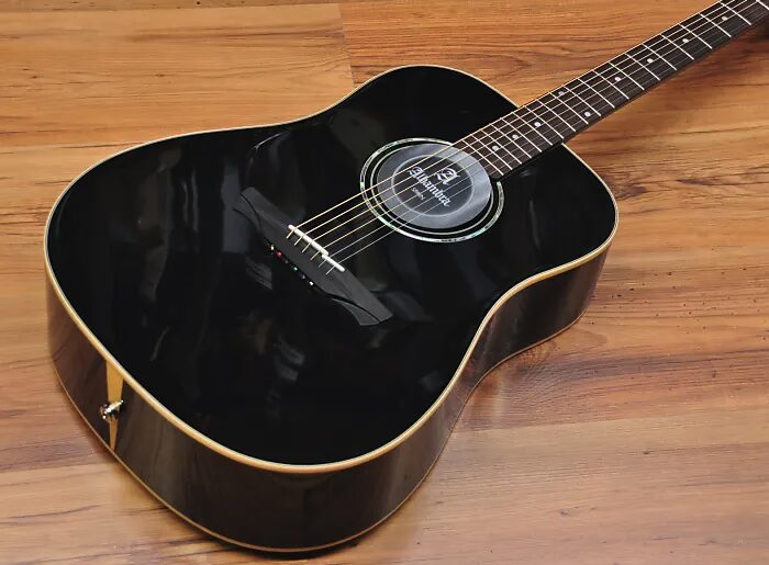 Alhambra Appalachian W-300 Limited Edition E9 - Black