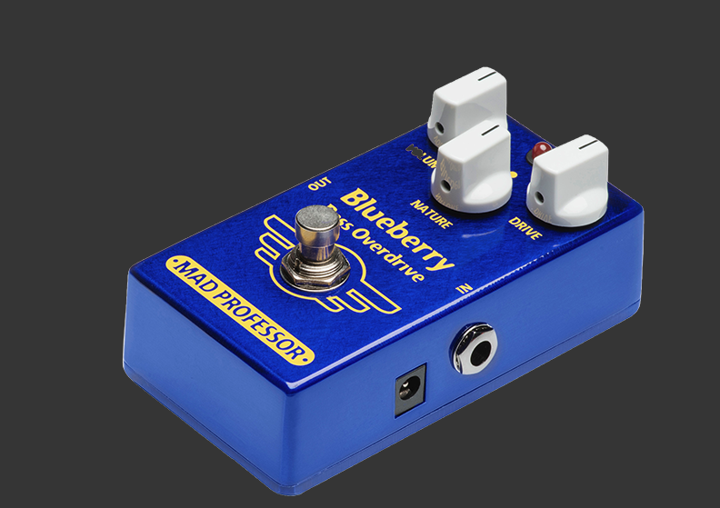 MAD PROFESSOR Blueberry Bass