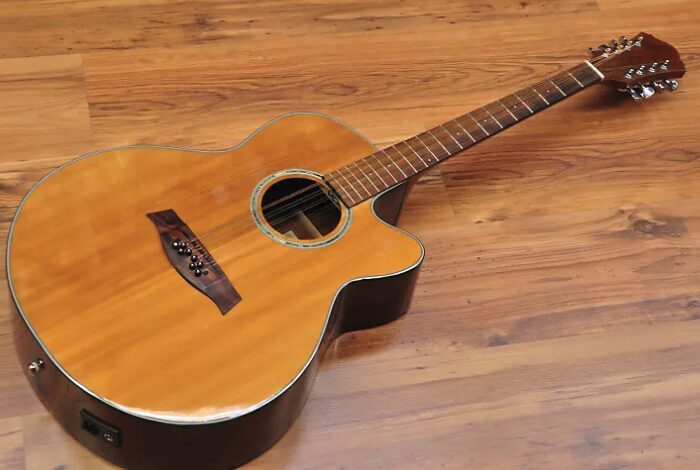 Ibanez AEL 108TD-NT1201 modified bouzouki-guitar