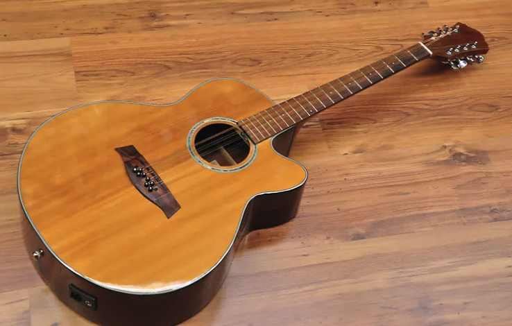 Ibanez AEL 108TD-NT1201 modified bouzouki-guitar